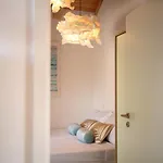 Apartment D_view *
